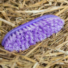 Laden Sie das Bild in den Galerie-Viewer, Haas "Pferdebürsten meets BinieBo" Set - Biniebo