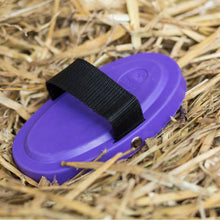 Laden Sie das Bild in den Galerie-Viewer, Haas "Pferdebürsten meets BinieBo" Set - Biniebo