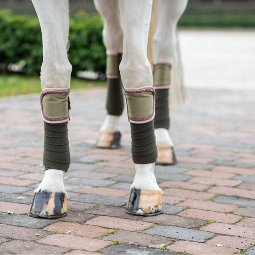 Follow your heart - Bandagen - Biniebo