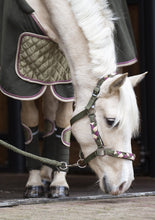 Laden Sie das Bild in den Galerie-Viewer, Follow your heart - Bandagen - Biniebo
