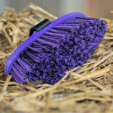 Laden Sie das Bild in den Galerie-Viewer, Haas &quot;Pferdebürsten meets BinieBo&quot; Set - Biniebo
